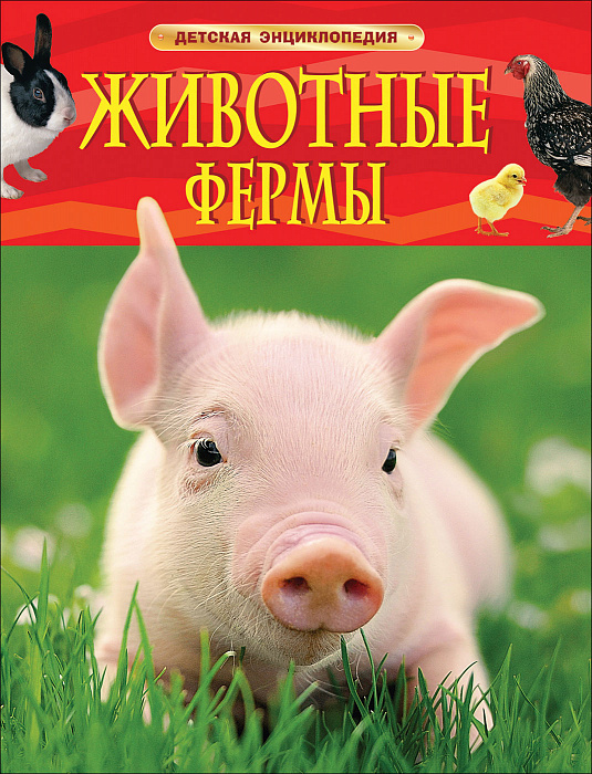 Животные фермы (свин)